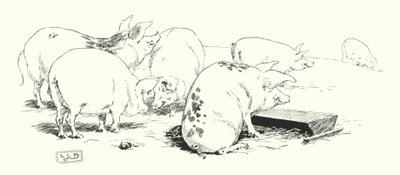 En langhalet gris eller en korthalet gris (gravering) af Leonard Leslie Brooke