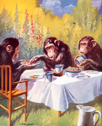 En chimpanses teselskab (farvelitografi) af Leonard Robert Brightwell