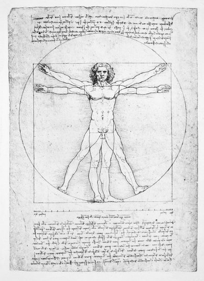 Proportionerne af den menneskelige figur (efter Vitruvius), ca. 1492 (faksimile) af Leonardo da (after) Vinci