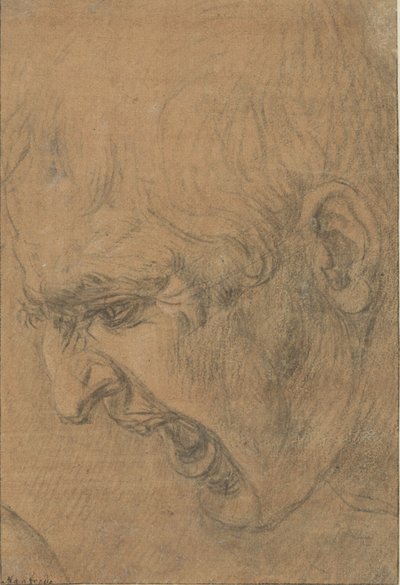 Hovedet af en skrigende mand af Leonardo da (follower of) Vinci