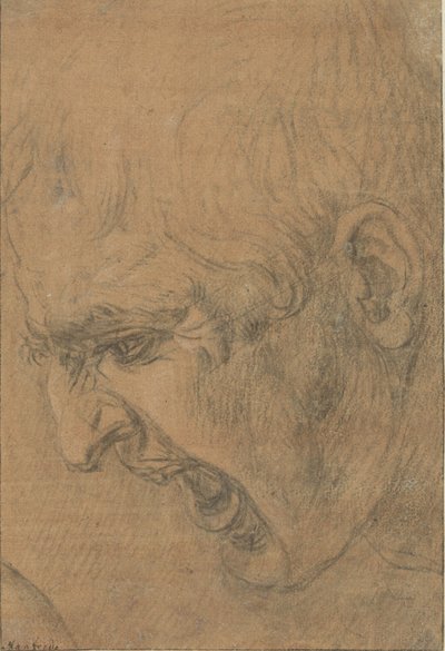Hovedet af en skrigende mand af Leonardo da Vinci (follower of)