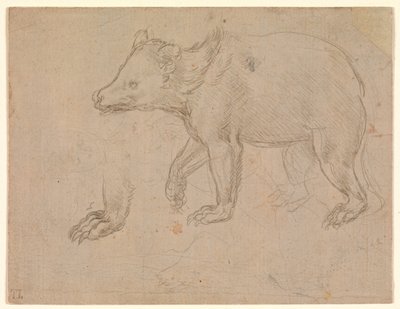 En bjørn på vandring af Leonardo da Vinci