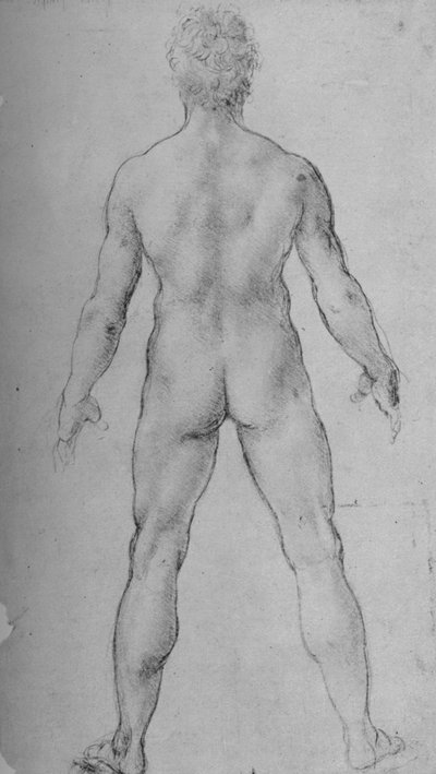 En nøgen mand set fra bagsiden, c1480 1945 af Leonardo da Vinci