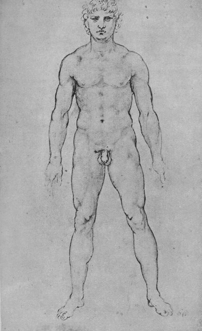 En nøgen mand set fra fronten, c1480 1945 af Leonardo da Vinci