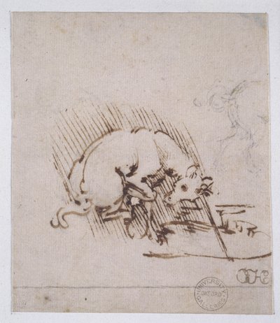 En enhjørning, der dypper sit horn i en vandpøl, ca. 1481 (pen og blæk og metalspids på papir) af Leonardo da Vinci