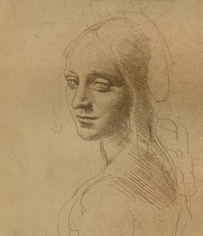 Et kvindeligt hoved, c1472-c1519 1883, af Leonardo da Vinci