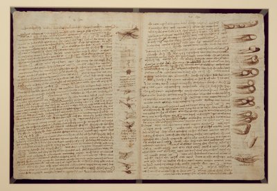 En side fra Codex Leicester, 1508-12 (sepia blæk på hørpapir) af Leonardo da Vinci