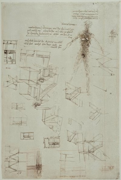 Anatomiestudien af Leonardo da Vinci