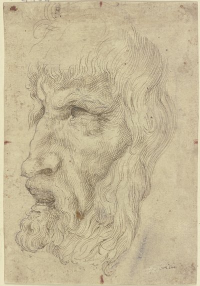 Antikke masker til venstre af Leonardo da Vinci