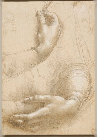 Arme og kvindehænder, ca. 1480. af Leonardo da Vinci