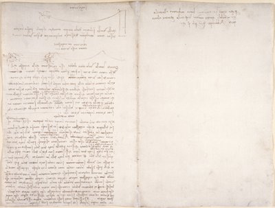 Arundel 263, f.166v, f.163 Noter og diagrammer om fugles flugt, fra 