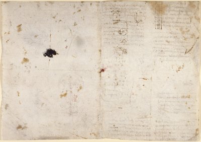Arundel 263, f.225v, f.230 Tegninger på de mekaniske kræfter og kræfter, slagtøj, tyngdekraft, bevægelse, optik og astronomi, med forskellige aritmetiske og geometriske forslag (pen & blæk på papir) af Leonardo da Vinci