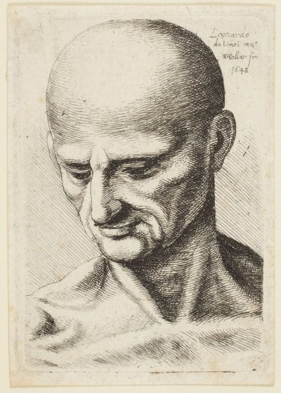 Den skaldede mand af Leonardo da Vinci