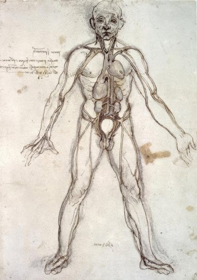 Fartøjets træ af Leonardo da Vinci