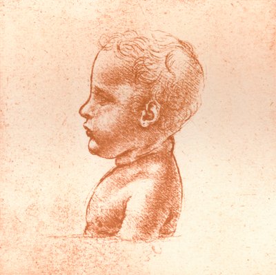Buste af en dreng, c1472-c1519 1883 af Leonardo da Vinci
