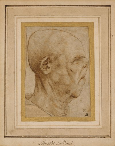 Karikatur af en gammel mands hoved, i profil til højre, ca. 1507 af Leonardo da Vinci