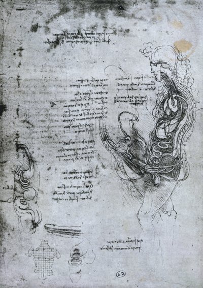 Kooition af en mand og en kvinde, faksimile kopi af Leonardo da Vinci
