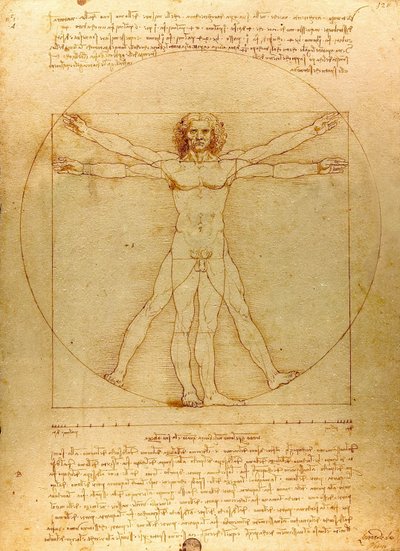 Da Vinci Vitruve Luc Viatour (beskåret) af Leonardo da Vinci