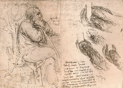 Tegning, der illustrerer repræsentationen af hår, der falder ned i krøller, c1472-c1519 1883 af Leonardo da Vinci