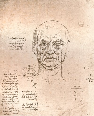 Tegning, der illustrerer teorien om proportionerne i den menneskelige figur, c1472-c1519 1883 af Leonardo da Vinci