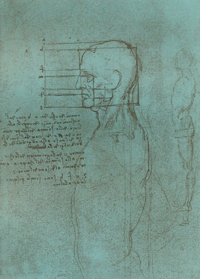 Tegning, der illustrerer teorien om proportionerne af den menneskelige figur, c1472-c1519 1883. af Leonardo da Vinci