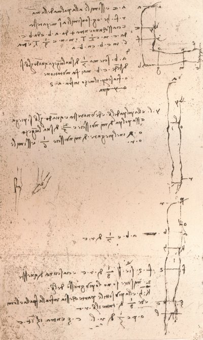 Tegning, der illustrerer teorien om proportionerne af den menneskelige figur, c1472-c1519 1883 af Leonardo da Vinci