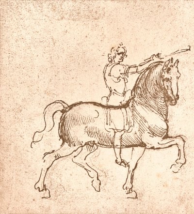 Tegning af en vandrehest, c1472-c1519 1883 af Leonardo da Vinci