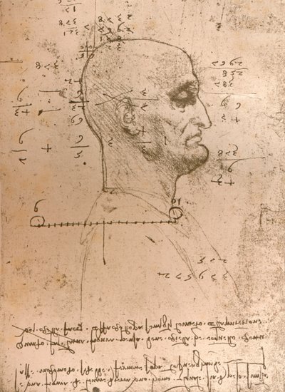 Tegning af hovedet på en kriminel, c1472-c1519 1883 af Leonardo da Vinci