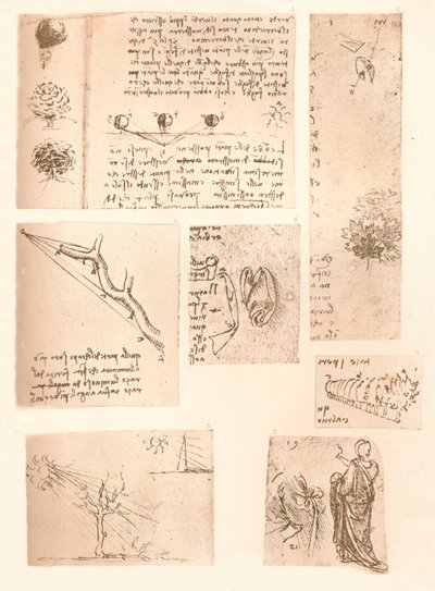 Fem tegninger, der illustrerer elementerne i landskabsmaleriet, c1472-c1519 1883 af Leonardo da Vinci