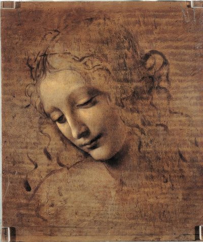 Kvinde hoved af Leonardo da Vinci