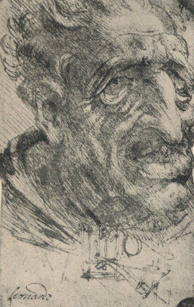Grotesk hoved af en mand drejet tre kvarter til højre, c1480 1945 af Leonardo da Vinci