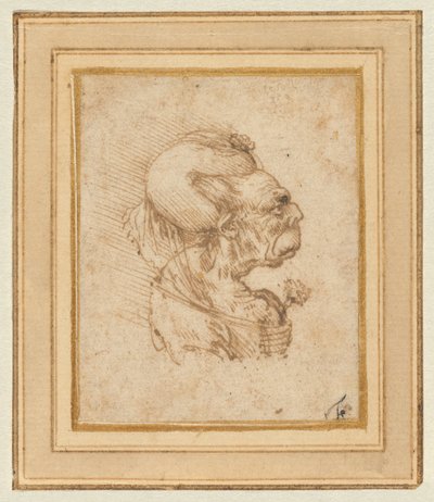 Grotesk hoved af en gammel kvinde af Leonardo da Vinci