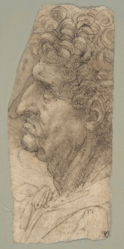 Hoved af en mand set i profil, vendt mod venstre af Leonardo da Vinci