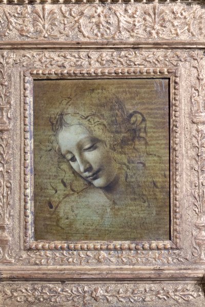 Hoved af en kvinde, kaldet "la scapigliata", ca. 1492-1501 (olie på panel) af Leonardo da Vinci