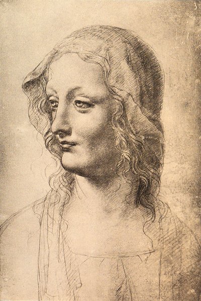 Leder af en ung kvinde, tegning af Leonardo da Vinci, Cabinet of Drawings and Prints, Uffizi, Firenze af Leonardo da Vinci