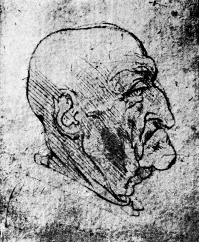 Leder af en gammel mand, 1913 af Leonardo da Vinci