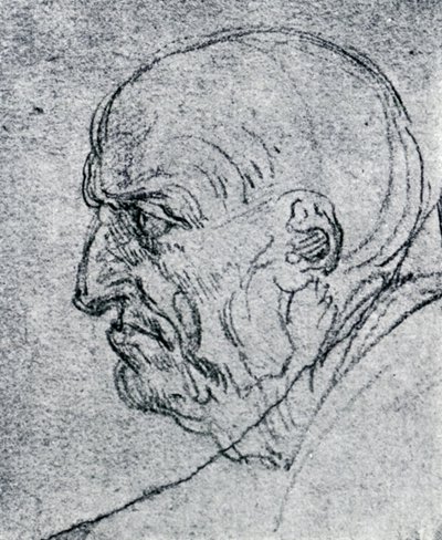 Leder af en gammel mand, 1913 af Leonardo da Vinci