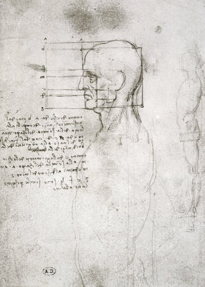 Leder af en gammel mand i profil, faksimilekopi (pen og blæk på papir) af Leonardo da Vinci