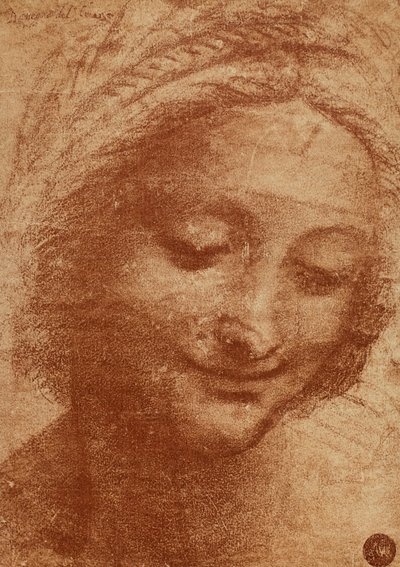Leder af kvinden eller af SantaAnna, tegning af Leonardo da Vinci, studere for lederen af Sant Annas maleri Madonna med barn og Sant Anna nu i Louvre. Designet har til huse i Gallerie dellA af Leonardo da Vinci