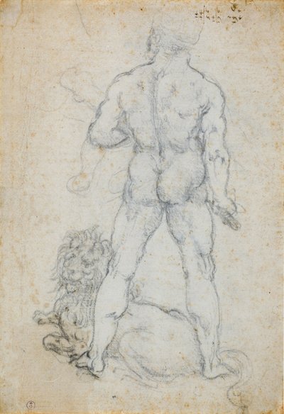 Hercules og Nemean-løven, ca. 1506-08 (kul og metalspids på hvidt papir) af Leonardo da Vinci