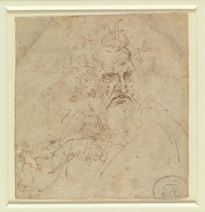 Hovedet af en gråhåret mand med et barsk udtryk og højre arm af Leonardo da Vinci