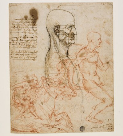 Menneskebuste i profil med undersøgelse af proportioner, ca. 1490-1499. af Leonardo da Vinci
