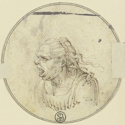 Karikatur af en kvinde med åben mund, brystbillede, set i profil mod venstre af Leonardo da Vinci
