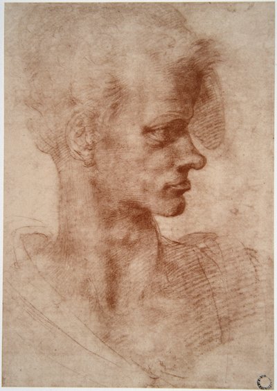 Leonardo da Vinci (Leonardo da Vinci) (1452 - 1519): Karikaturportræt af en ung mand (Imagine) af Leonardo da Vinci