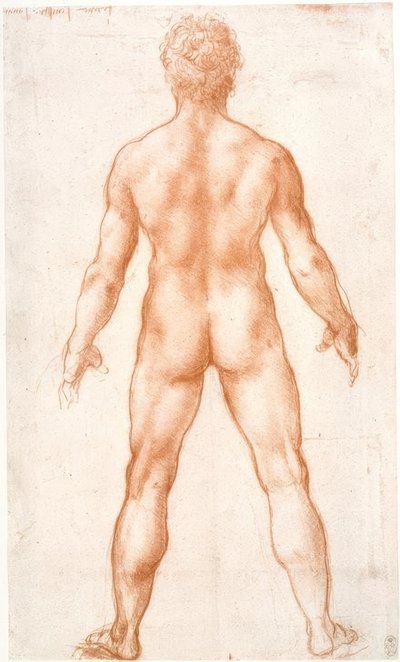Mand nøgen bagfra af Leonardo da Vinci