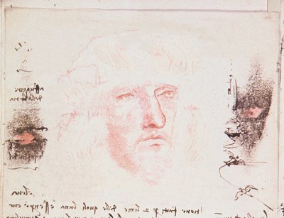 Noter om retningsændringerne under flugten, manuskriptside fra Codici Rari III 35.2, fol. 10v fra Treatise on the Flight of Birds, 1505 (pen og blæk på papir) af Leonardo da Vinci