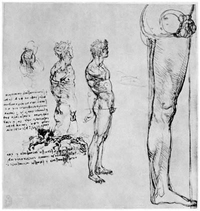 Nøgenstudier til Slaget ved Anghiari, c1503-1505 1954 af Leonardo da Vinci