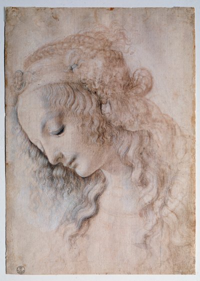 Portræt af pige - tegning af Leonardo da Vinci