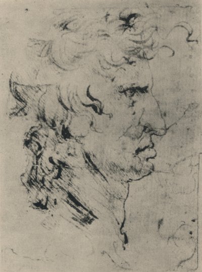 Profil af en mand til højre, c1480 1945 af Leonardo da Vinci