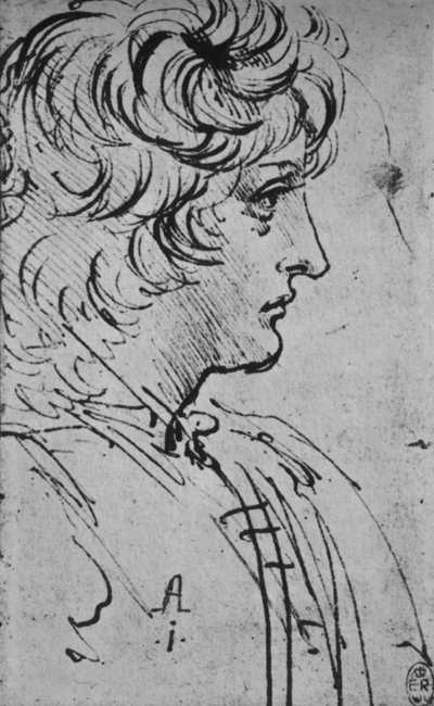 Profil af en ungdom til højre, c1480 1945 af Leonardo da Vinci